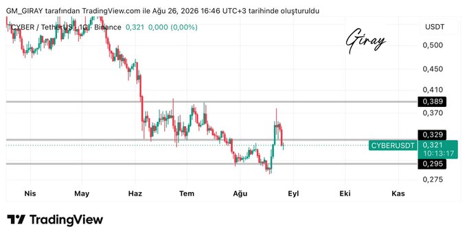 The image is a TradingView daily chart of CYBER/USDT showing a price pullback to the 0.321 support level after a recent rise, with horizontal lines marking the 0.295 support and 0.389 resistance zones for potential upward movement if the support holds.