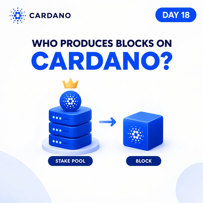 Cardano Day 18 educational graphic asking 'WHO PRODUCES BLOCKS ON CARDANO?' with an illustration showing a Stake Pool producing a Block.