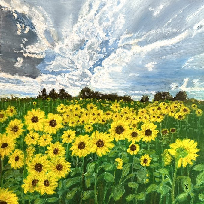 A painted landscape depicting a vibrant field of sunflowers under a dramatic cloudy blue sky.