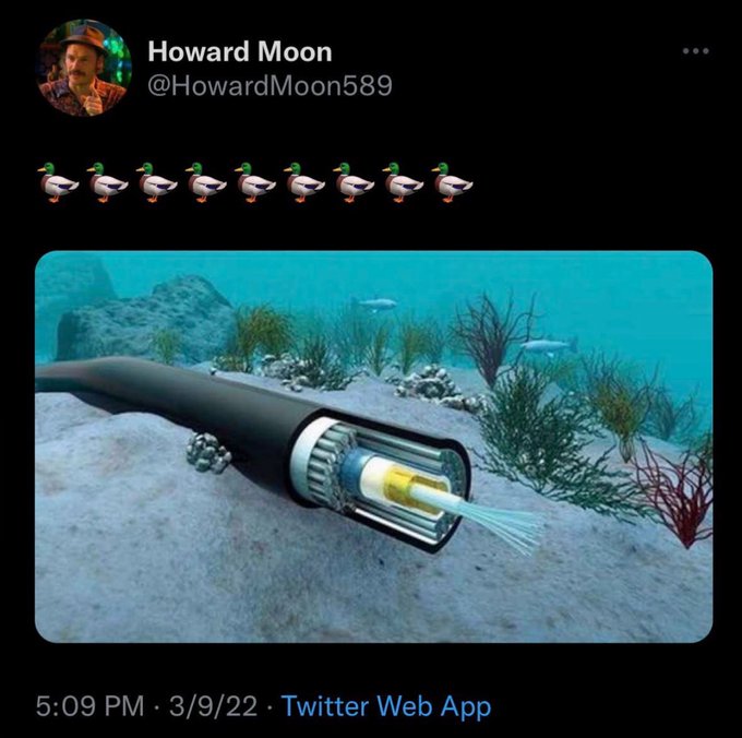 A post by Howard Moon (@HowardMoon589) shows a row of nine duck emojis above an image of a cutaway underwater fiber optic cable on the seabed. The caption jokes "Better have your 'ducks in a row' in case the internet goes out," using the idiom to humorously suggest that even internet infrastructure isn't safe.