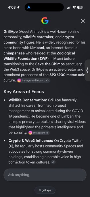 A Google search result displaying information about GrillApe (Adeel Ahmad), describing him as a wildlife caretaker, crypto figure, and creator of the SPX6900 meme culture.