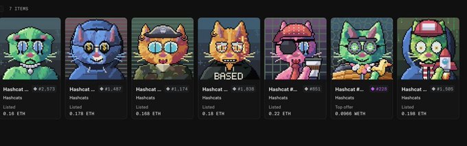 A lineup of seven pixel-art cat NFT listings from the Hashcats marketplace, showing floor prices ranging from ¥1,174 to ¥2,573 (0.16–0.22 ETH), with the central orange cat marked "BA8SED" — the caption "What if it goes to 0? What if it goes to 5e? Fuck it" reflects the gamble of buying in at current prices, embracing the risk of a rug pull or moonshot with typical crypto fatalism.