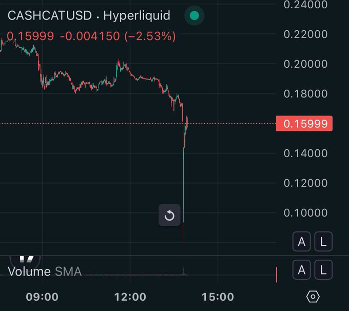 A Hyperliquid chart for **CASHCATUSD** shows the token plunging from ~$0.22 to $0.15999 (-2.53%) in a dramatic sell-off, with a sharp wick down toward $0.10. The post mocks the "meme szn" hype, suggesting traders chasing meme coins like CASHCAT are getting burned by steep losses—illustrating the "stupid prizes" outcome of reckless speculation.