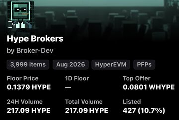 Screenshot of an NFT collection page titled 'Hype Brokers' by Broker-Dev on HyperEVM, showing 3,999 items, a floor price of 0.1379 HYPE, 24H volume of 217.09 HYPE, and a top offer of 0.0801 WHYPE.