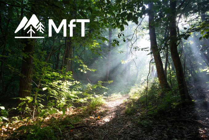 A serene forest scene with sunlight streaming through green tree canopy onto a dirt path, overlaid with an 'MfT' logo featuring a mountain and tree icon in the upper left corner.