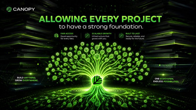 A promotional graphic for 'CANOPY' with the tagline 'ALLOWING EVERY PROJECT to have a strong foundation,' featuring a glowing green digital tree and features like 'FAIR ACCESS,' 'SCALABLE GROWTH,' and 'BUILT TO LAST.'
