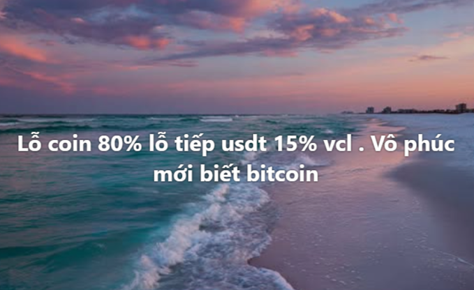 A beach scene at sunset with overlaid Vietnamese text reading 'Lỗ coin 80% lỗ tiếp usdt 15% vcl . Vô phúc mới biết bitcoin'.