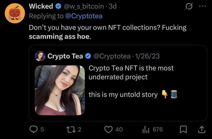 A screenshot of an X (Twitter) post by Wicked (@w_s_bitcoin) replying to @Cryptotea with the message 'Don't you have your own NFT collections? Fucking scamming ass hoe,' quoting Crypto Tea's tweet calling 'Crypto Tea NFT the most underrated project' with 5 replies, 2 reposts, 40 likes, and 676 views.