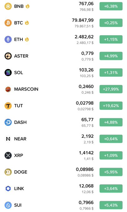 A cryptocurrency price ticker displaying current values and 24-hour percentage changes for various coins including BNB ($767.06, +6.38%), BTC ($79,847.99, +0.25%), ETH ($2,482.62, +1.15%), ASTER, SOL, MARSCOIN (+27.99%), TUT (+19.62%), DASH, NEAR, XRP, DOGE (+5.95%), LINK, and SUI.