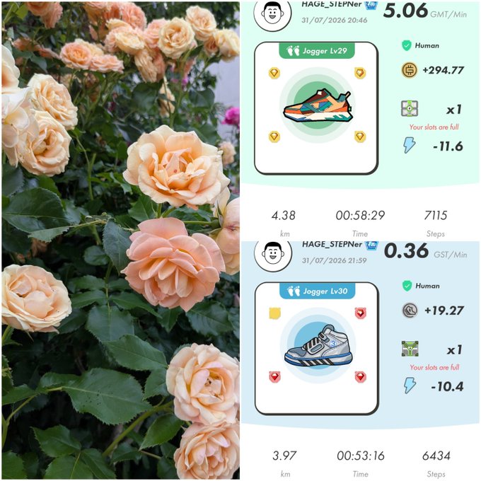 A split image showing peach-colored garden roses on the left alongside two Move-to-Earn fitness app screenshots (Jogger Lv29 and Lv30) earning GST tokens at 5.06 and 0.36 GMT/Min respectively.