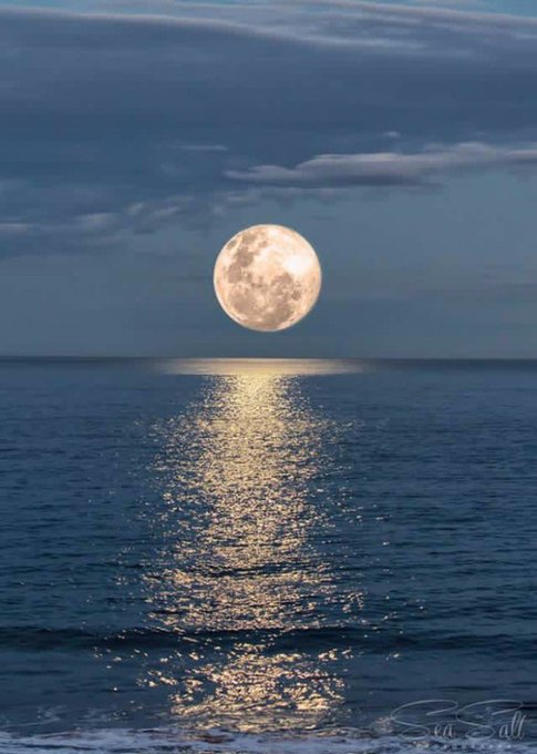 A full moon hangs low over the ocean, its golden light reflecting in a shimmering path across the rippling water under a dark, cloudy sky.