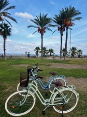 A green and white beach cruiser bicycle parked on grass with palm trees and the ocean visible in the background on a sunny day.