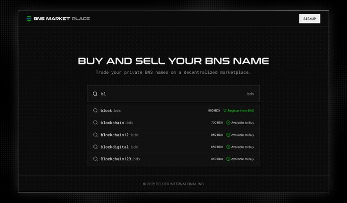 A dark-themed website interface for the 'BNS MARKET PLACE' where users can 'BUY AND SELL YOUR BNS NAME,' listing various blockchain-related domain names for sale.