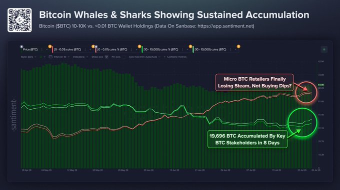 The image shows a Santiment chart comparing Bitcoin wallet holdings between two cohorts, highlighting that wallets holding 10-10,000 BTC accumulated 19,696 BTC in 8 days, while wallets holding <0.01 BTC appear to be losing steam and not buying the dip—aligning with the post's message about whales and sharks accumulating while retail investors slow down.