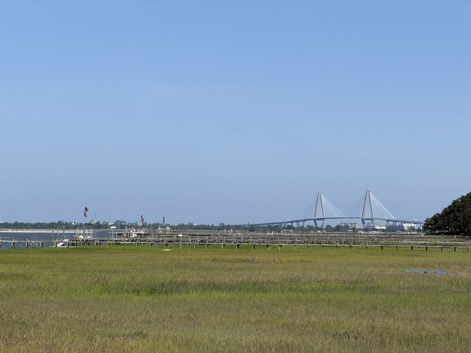 A grassy field with wooden fencing overlooks Charleston Harbor, where the Ravenel Bridge stretches across the water in the distance under a clear blue sky, setting the scene for an ApeFest gathering in the city.