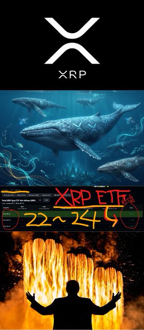 A promotional collage featuring the XRP logo, whale imagery symbolizing large-scale accumulation of 470 million XRP ($724M) held by millionaire wallets, an "XRP ETF" chart highlighting inflow amounts of $20.02M and $18.04M over three consecutive days, and a triumphant figure engulfed in flames representing market optimism.