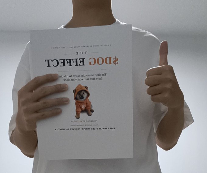 A person in a white t-shirt holds up a book titled "$DOC EFFECT" by Professor Dr. Gigachad, featuring a Shiba Inu in an orange hoodie on the cover, with the text "The first memecoin ever to be played for brok" and "LVIII PUNCH ALON MUSK - ELON MUSK" visible (text appears mirrored).