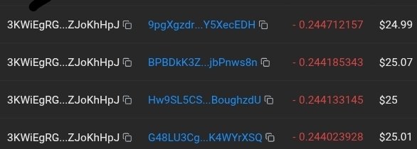 A screenshot of a cryptocurrency or trading dashboard showing multiple entries with addresses starting with '3KWiEgRG...ZJoKhHpJ', negative percentage values around -0.244, and prices ranging from $24.99 to $25.07.