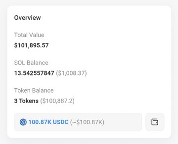 A financial overview panel displaying a Total Value of $101,895.57, an SOL Balance of 13.542557847 ($1,008.37), 3 Tokens ($100,887.2), and a highlighted balance of '100.87K USDC'.