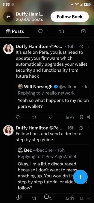 A screenshot of a Twitter/X profile page for Duffy Hamilton (@PeralgoWallet) showing replies reassuring users about Pera wallet security and offering step-by-step DM guides for firmware updates.