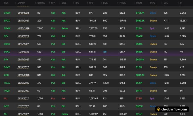 A options flow tracking table from cheddarflow.com displaying various stock tickers including CRWV, SPCX, SPXW, SPY, SOXX, AMD, TSLA, TQQQ, MU, and INTC with details like expiry, strike, side, and premium.