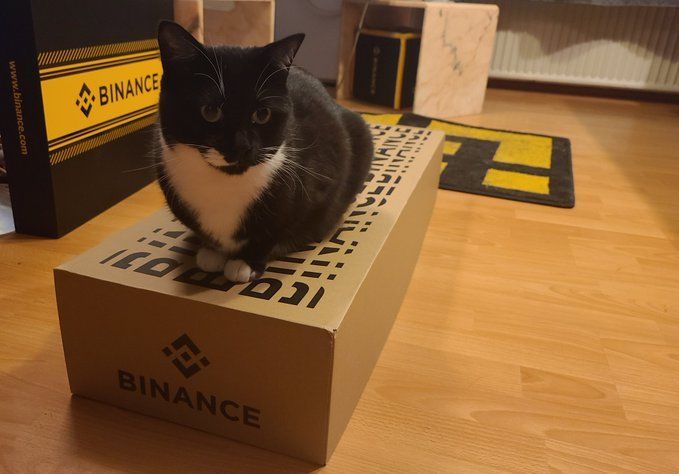 A black and white tuxedo cat sitting on a Binance-branded cardboard shipping box on a wooden floor, with a Binance shopping bag visible in the background.