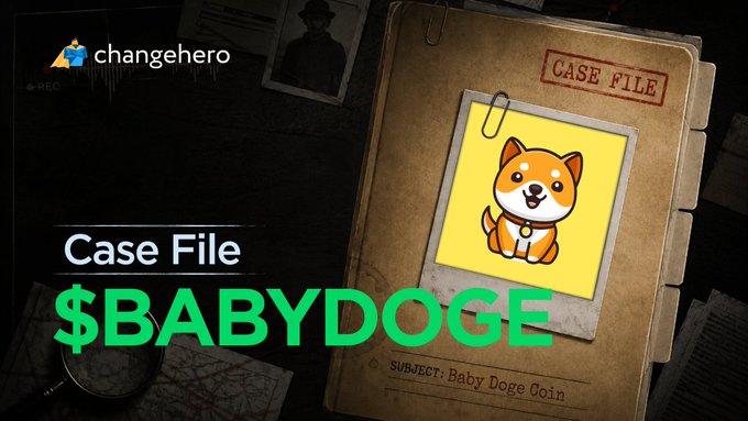 A Changehero 'Case File' promotional graphic for '$BABYDOGE' (Baby Doge Coin) featuring a cartoon Shiba Inu mascot on a manila file folder design.