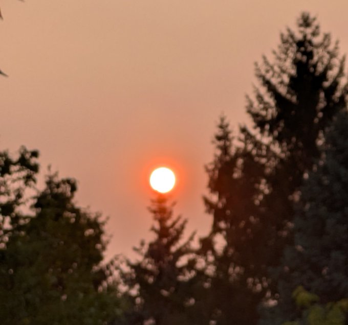 The sun glows orange through a hazy sky, partially framed by silhouettes of pine trees.