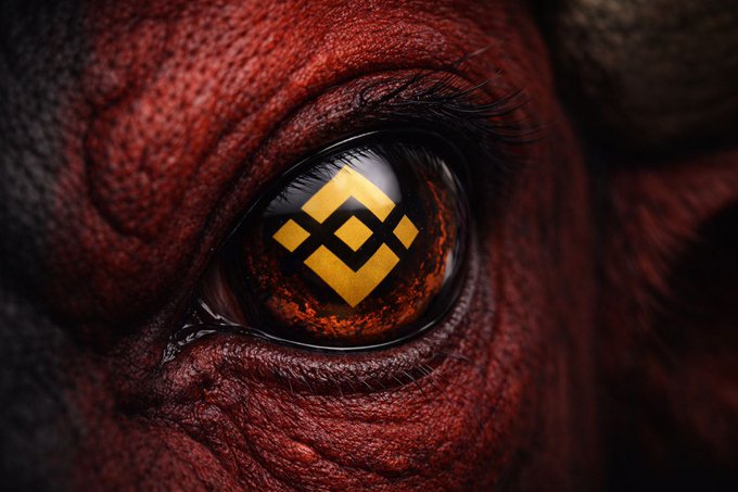 A close-up of a red, textured eye reflecting the Binance (BNB) cryptocurrency logo on its surface.