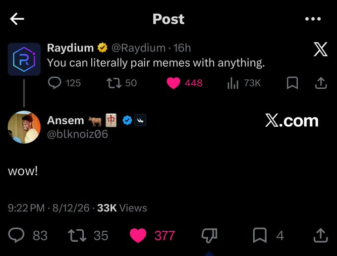 A screenshot of an X post thread where Raydium (@Raydium) states 'You can literally pair memes with anything,' replied to by Ansem (@blknoiz06) with 'wow!'.