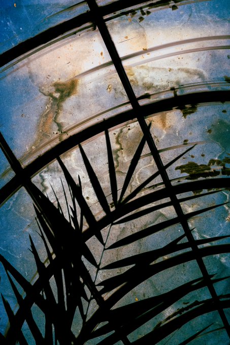 A silhouetted view of palm fronds against a cloudy sky seen through a dirty, water-stained window pane.