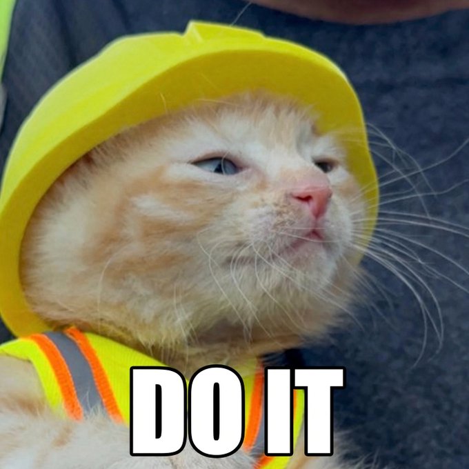 A meme image of an orange cat wearing a yellow construction hat and safety vest with the bold text "DO IT" overlaid.