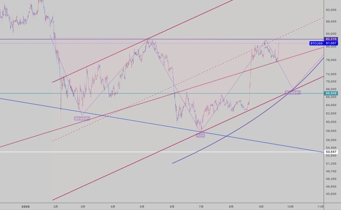 The image shows a BTCUSD price chart on a 10-hour timeframe, with the current price at 81,007 (highlighted at the upper purple horizontal resistance level near 83,319). Multiple trendlines (red ascending, blue descending, and dashed) converge across the chart from February to November, illustrating the post's point about BTC bouncing off the red line and facing a critical battle between the purple horizontal resistance and red trendline.