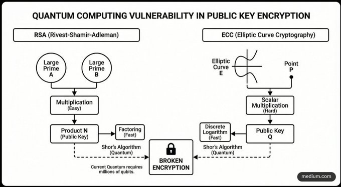 A diagram titled 'Quantum Computing Vulnerability in Public Key Encryption' comparing RSA and Elliptic Curve Cryptography (ECC), showing how Shor's Algorithm breaks both encryption methods.