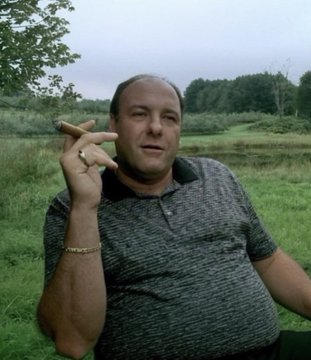 A scene of a man sitting outdoors in a grassy area, smoking a cigar.