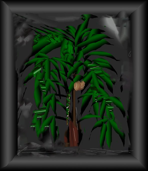 The image features a 3D rendering of a tropical palm tree with green leaves, situated within a black frame. The background appears to be a dark color, possibly a cave or jungle setting. The photo has been captioned "I have just collected Tropical palm" by nuv1914 on @objktcom".