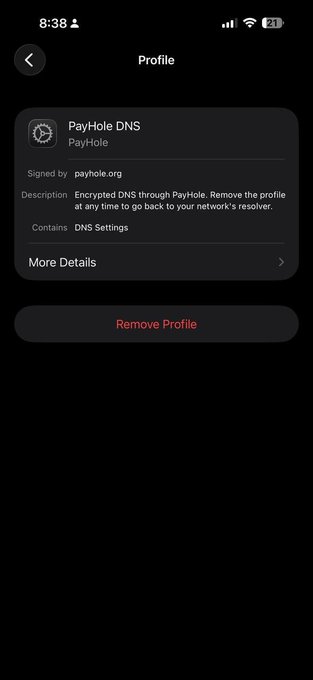 A smartphone screenshot of a Profile settings page showing a 'PayHole DNS' profile signed by payhole.org, with a 'Remove Profile' button in red.