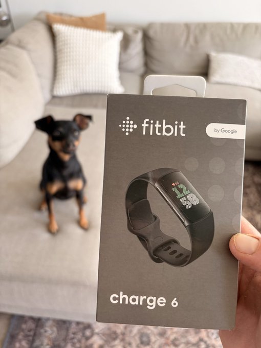 A hand holds a Fitbit Charge 6 box, featuring "by Google" branding, while a small black and tan dog sits on a beige couch in the background.