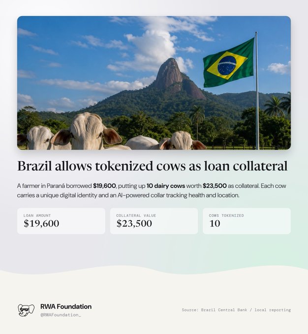 A graphic by RWA Foundation (@RWAFoundation_) titled "Brazil allows tokenized cows as loan collateral," showing a herd of Nelore cattle against a backdrop of Sugarloaf Mountain and the Brazilian flag. It details that a Paraná farmer borrowed $19,600 using 10 dairy cows worth $23,500 as collateral, with each cow assigned a unique digital identity and an AI-powered collar for health and location tracking.

This perfectly illustrates the post's "Proof of steak" pun, as it showcases a real-world example of tokenized physical cattle serving as on-chain financial collateral.