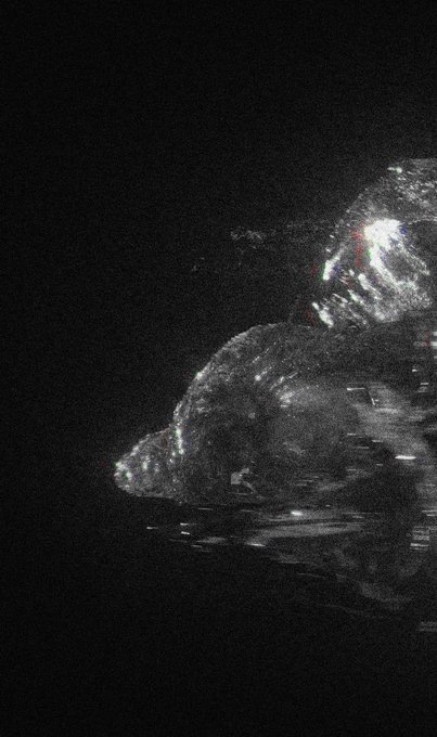 A dark, grainy, distorted image with abstract blurry shapes in white and red on a black background.