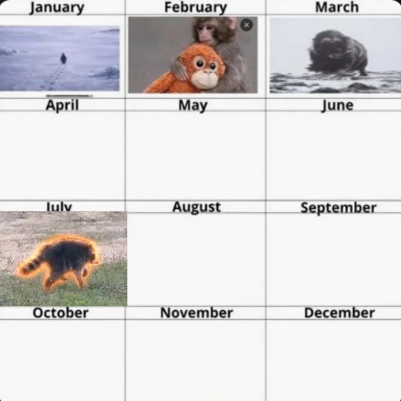 A calendar-style meme grid labeled by months, with images appearing in January (bird on snow), February (monkey), March (otter), and July (a burning animal), leaving the other months blank.