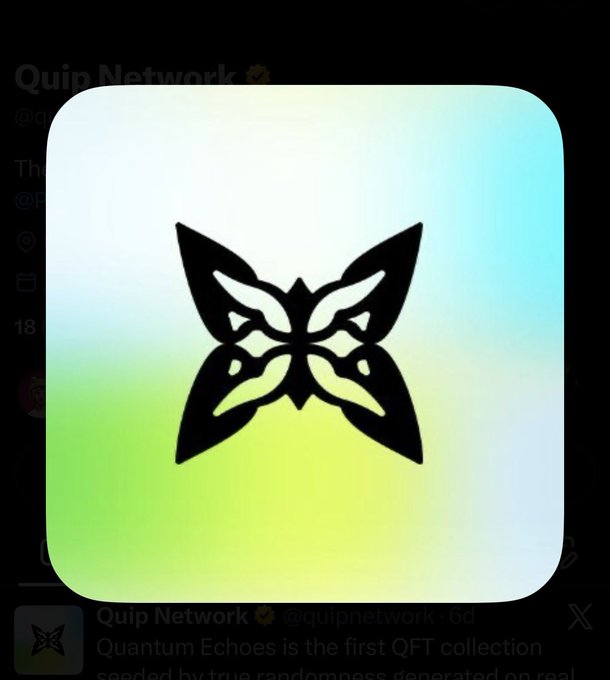 An app icon featuring a symmetrical black geometric butterfly or moth design centered on a soft green and blue gradient background, overlaid on a Twitter post from Quip Network mentioning 'Quantum Echoes'.