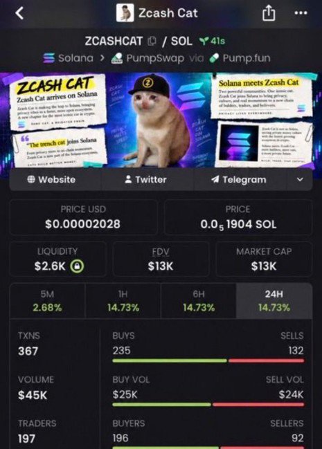 A cryptocurrency token page for ZCASH CAT / SOL on Solana via PumpSwap, showing a price of $0.00002028, market cap of $13K, and various trading metrics including 367 transactions and 197 traders.