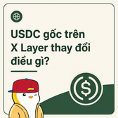 A graphic with Vietnamese text reading 'USDC gốc trên X Layer thay đổi điều gì?' featuring a duck character and a dollar sign logo.