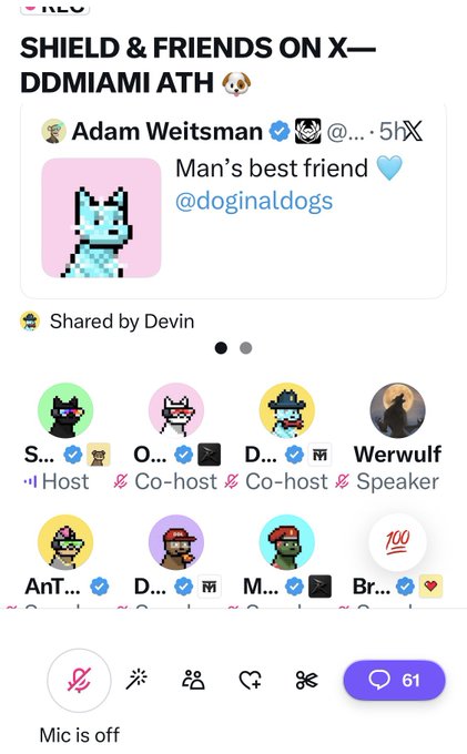 A Discord-like server screenshot titled “SHIELD & FRIENDS ON X—DDMIAMI ATH 🐶” shows a shared post reading “Man’s best friend 💙 @doginaldogs” and a grid of user avatars and roles.