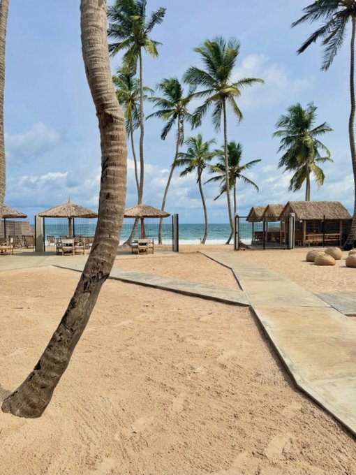 A tropical beach scene featuring tall palm trees, thatched-roof cabanas with lounge seating, and a sandy pathway leading toward the ocean under a partly cloudy sky.