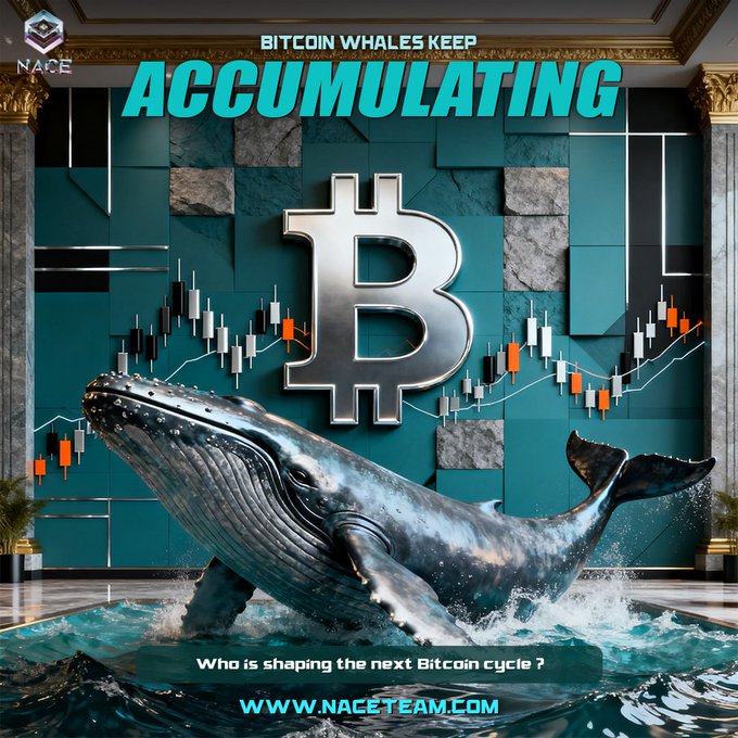 A dramatic graphic featuring a whale emerging from water in front of a Bitcoin logo and trading chart, with text reading "BITCOIN WHALES KEEP ACCUMULATING" and "Who is shaping the next Bitcoin cycle?" at the bottom, alongside the NACE logo and "www.naceteam.com" — visually reinforcing the post's theme of large investors continuing to accumulate Bitcoin and shape the market's next cycle.