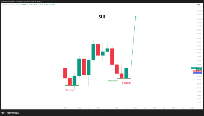 A bullish technical analysis chart of SUI/USD on TradingView shows a "Higher Low" pattern forming after a bottom, with a green arrow pointing sharply upward to a projected target near $21, supporting the post's optimistic outlook of consecutive green candles driving sustained price gains.
