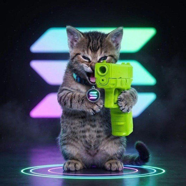 A digital artwork featuring a tabby kitten standing on a glowing circular platform, holding a green toy gun, with a Solana (SOL) tag on its collar against a neon-lit background.