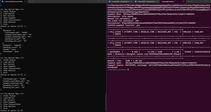 Split-screen capture showing an Algorand wallet CLI on the left and payment transaction details on the right for address B5arir..., displaying a balance of 1.65 algo.